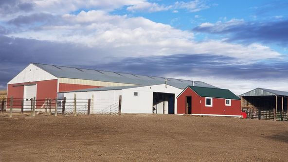 Montana Dream Property With Unlimited Options on 48+ Acres In Sidney: 12353 County Rd 348, Sidney, MT 59270